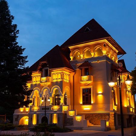 ホテル Casa Danielescu Târgu Jiu エクステリア 写真