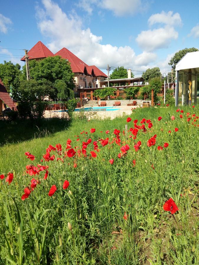 ホテル Casa Danielescu Târgu Jiu エクステリア 写真